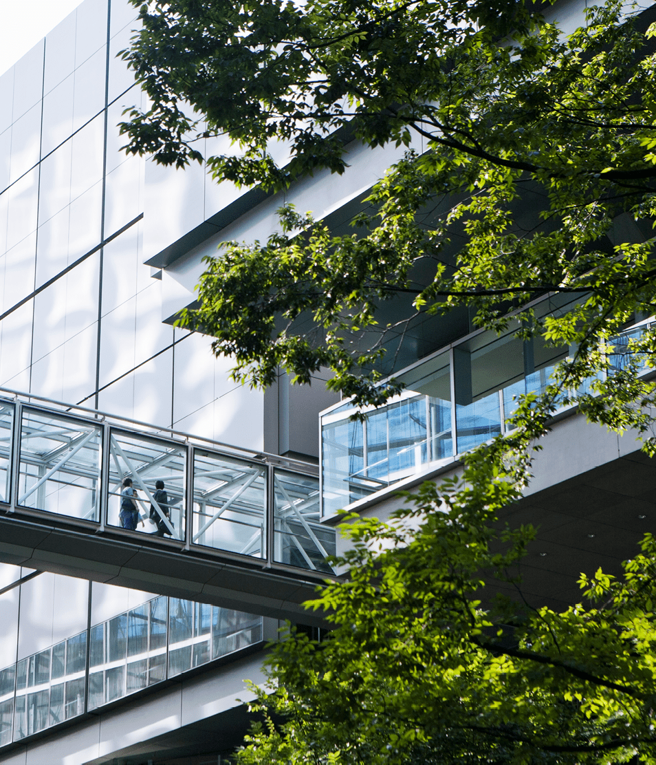 Business men walking on sky bridge.