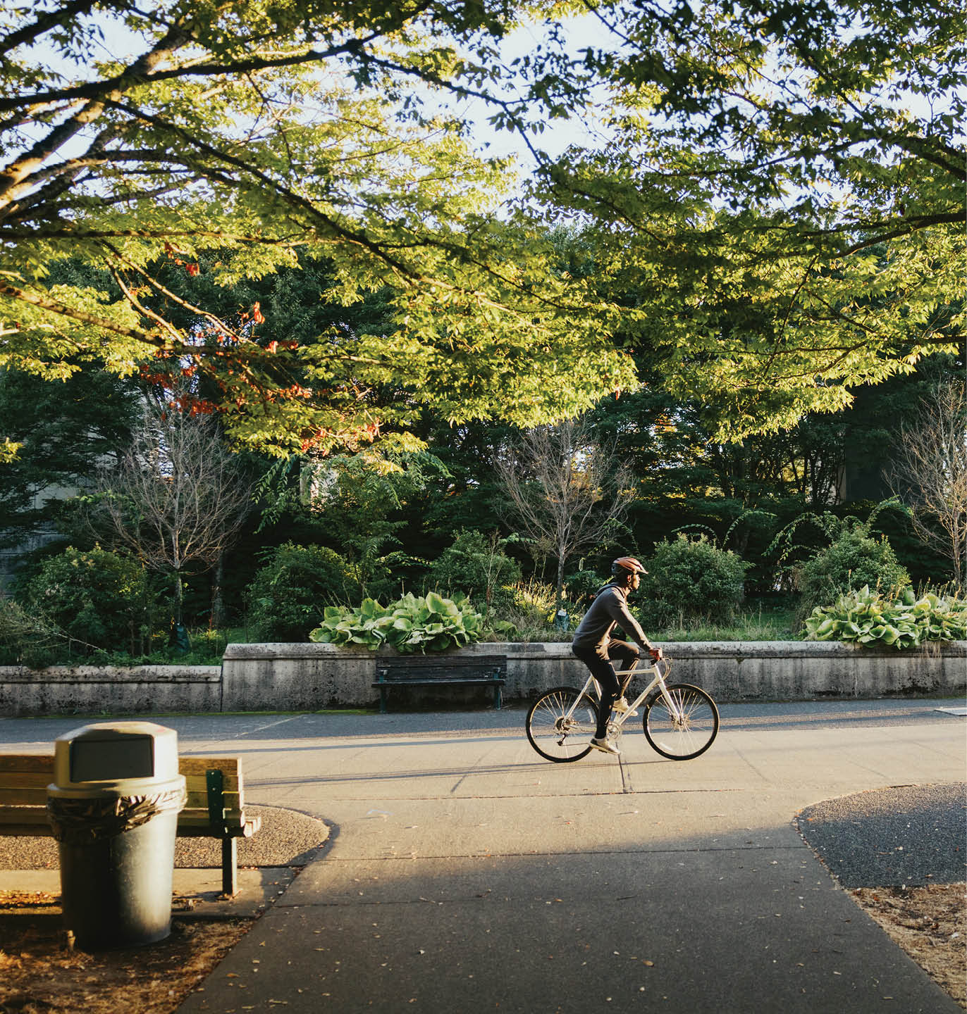 An adult African American man enjoys a bicycle ride on a brisk and sunny autumn day in the Pacific Northwest.  The fall leaves glow in the sunlight. Shot in Seattle, Washington, USA.
