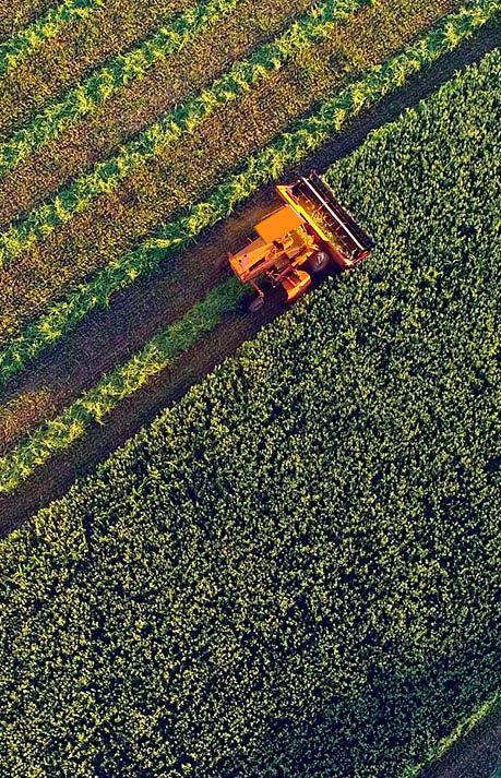 Agricultural harvesting at the last light of day, aerial view.