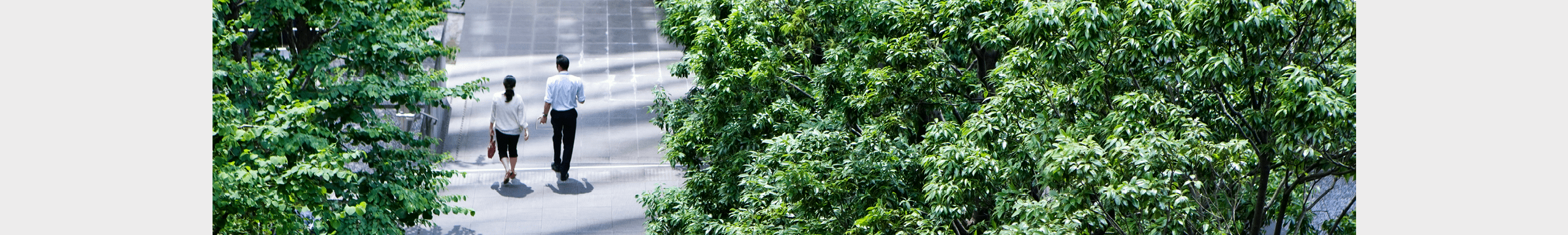 A business man and woman walking on a passage among trees together.